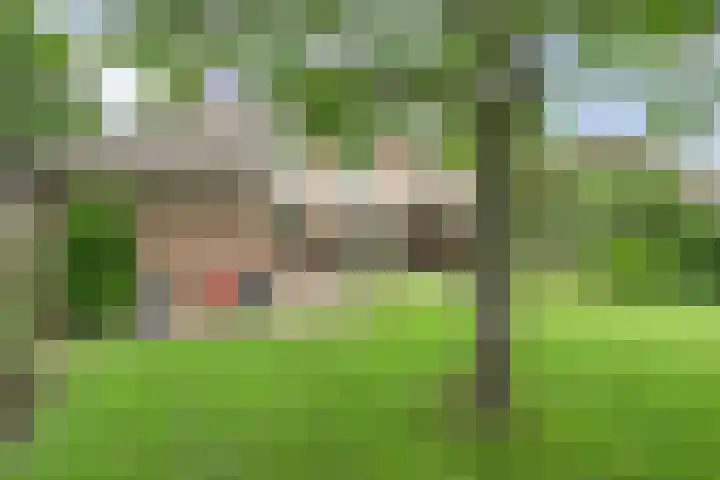 Laagveld 36 Boekel thumbnail 27