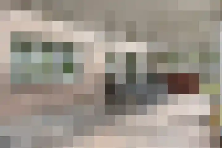 Laagveld 36 Boekel thumbnail 28