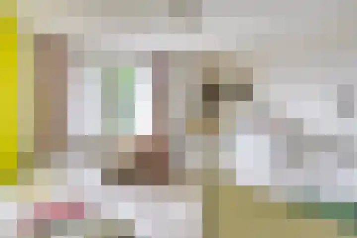 Laagveld 36 Boekel thumbnail 30