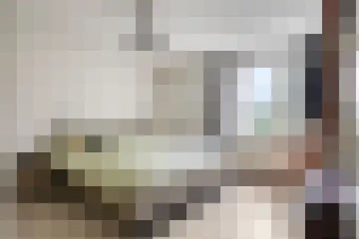 Laagveld 36 Boekel thumbnail 31