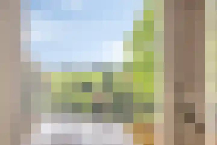 Laagveld 36 Boekel thumbnail 33