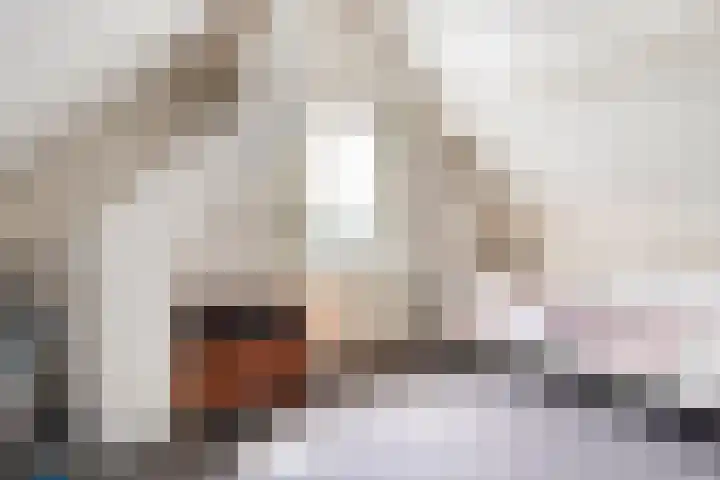 Laagveld 36 Boekel thumbnail 37