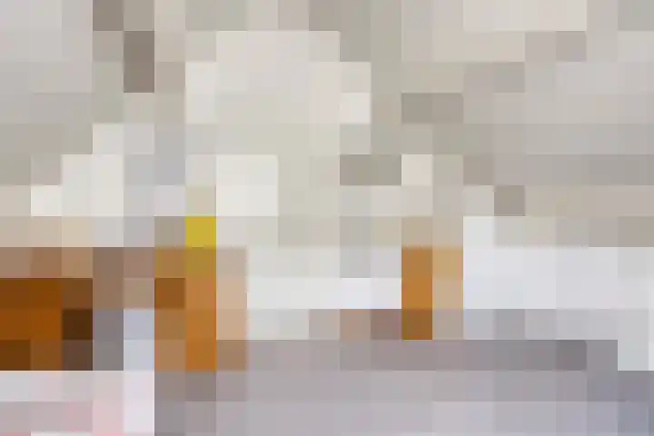 Laagveld 36 Boekel thumbnail 38