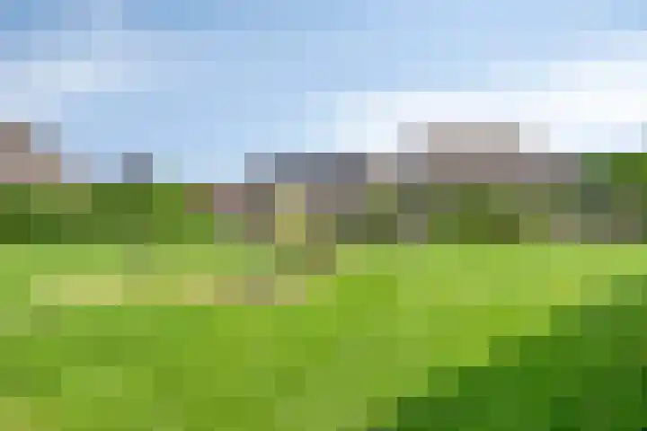 Laagveld 36 Boekel thumbnail 39