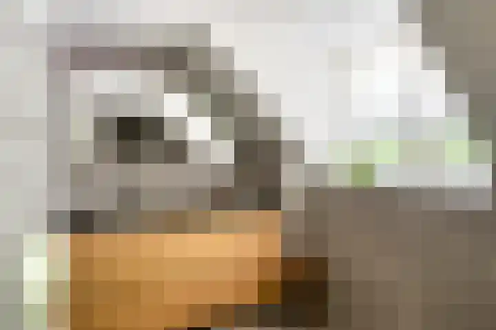 Laagveld 36 Boekel thumbnail 4