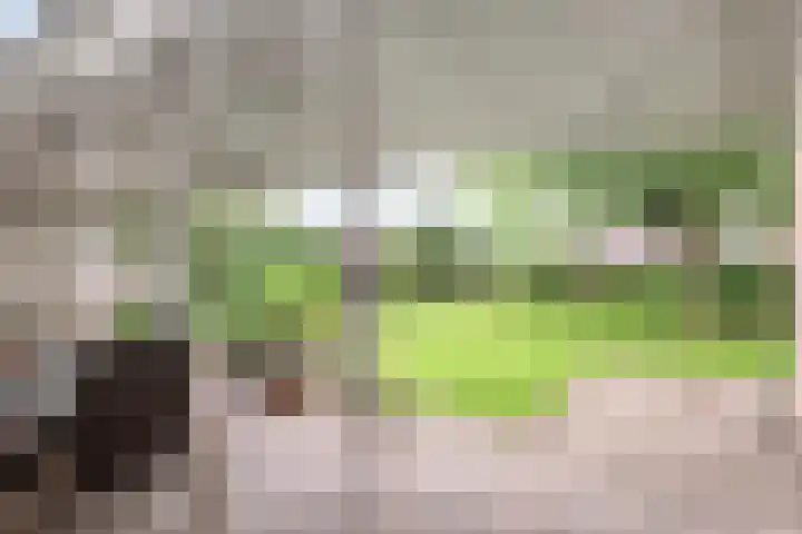 Laagveld 36 Boekel thumbnail 5