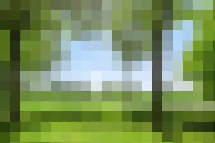Laagveld 80 Haren Gn thumbnail 49