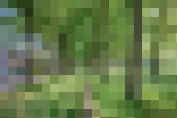 Laagveld 80 Haren Gn thumbnail 50