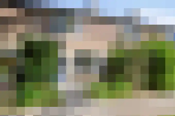 Laagveld 80 Haren Gn thumbnail 8