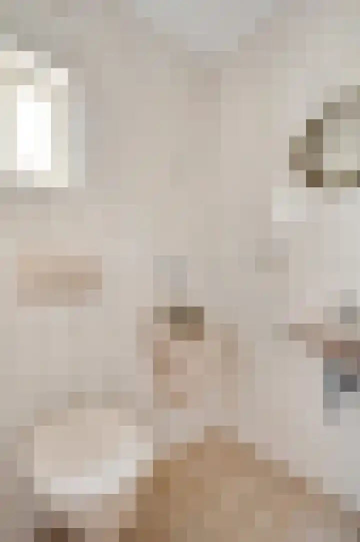 Laagveld 9 Horn thumbnail 16