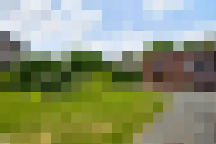 Laagveld 9 Horn thumbnail 28