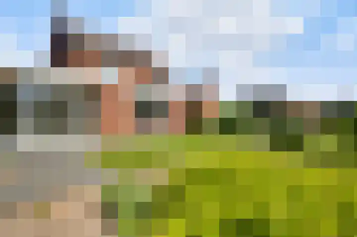 Laagveld 9 Horn thumbnail 30