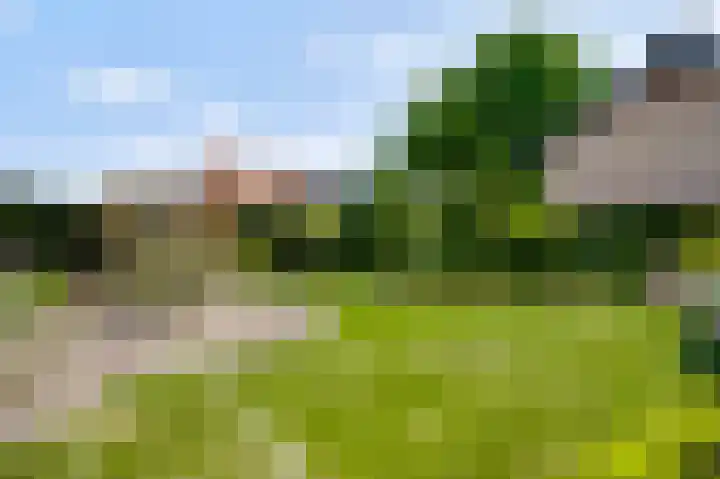 Laagveld 9 Horn thumbnail 31