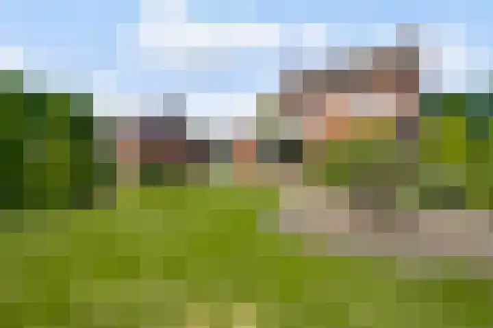 Laagveld 9 Horn thumbnail 32
