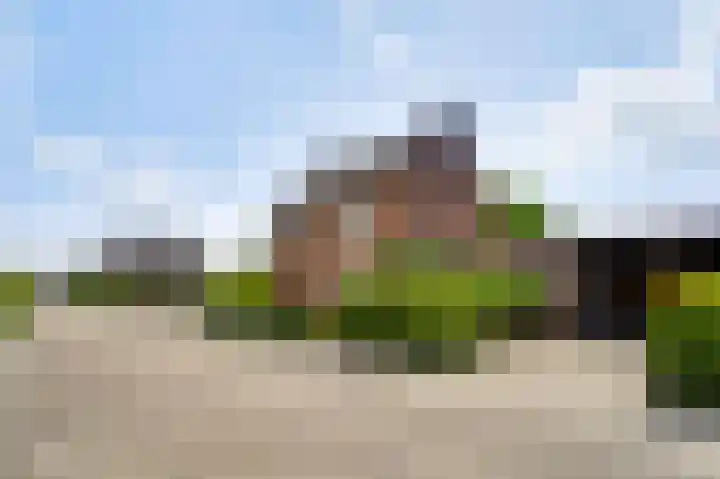 Laagveld 9 Horn thumbnail 33