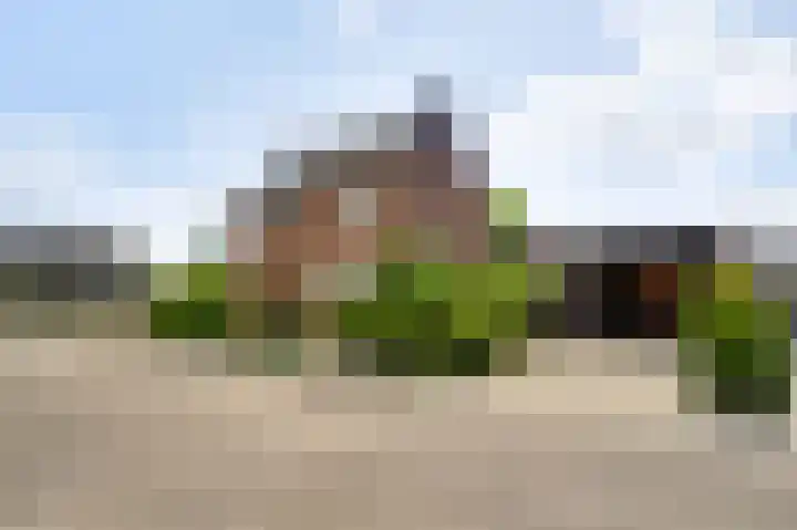 Laagveld 9 Horn thumbnail 34