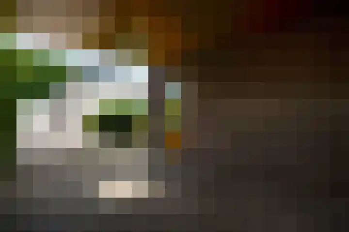 Laagveld 9 Horn thumbnail 39
