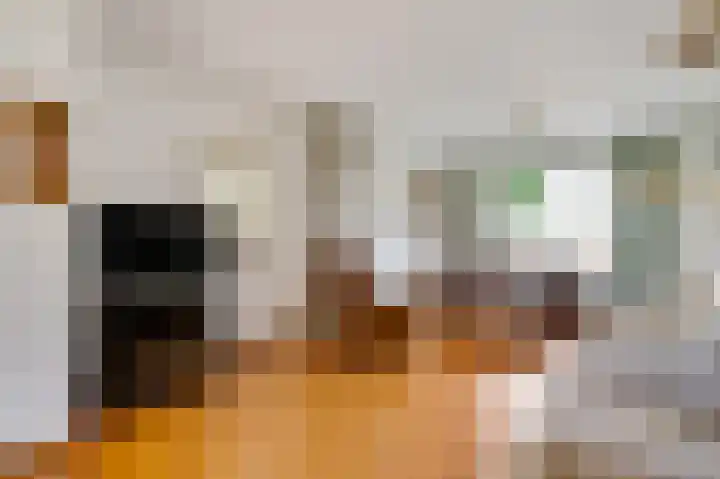 Laagveld 9 Horn thumbnail 9