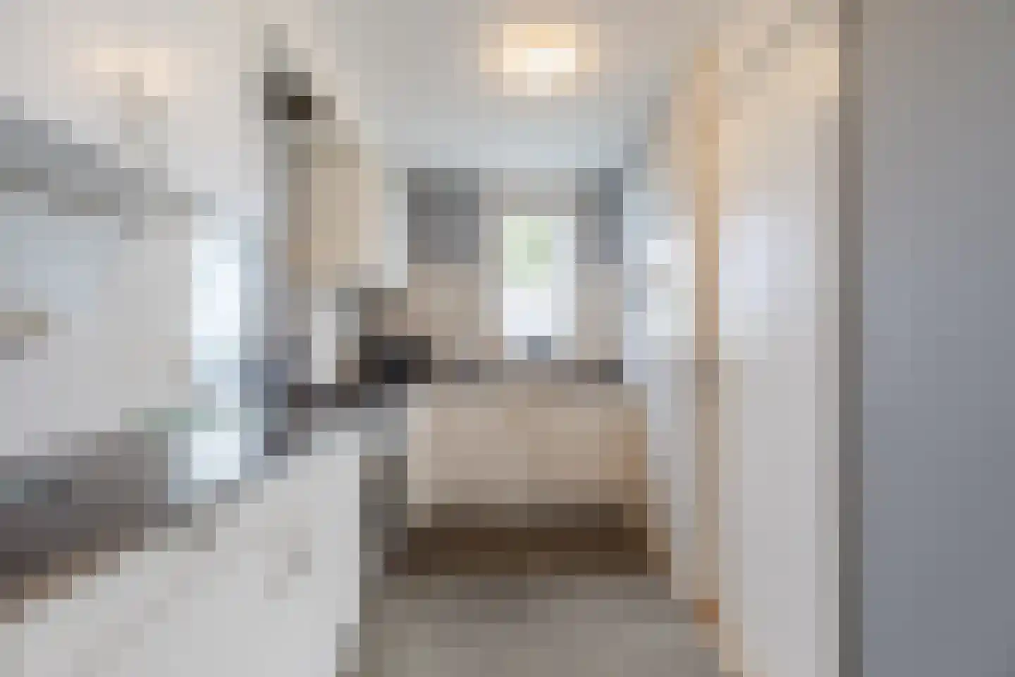 Laagveld 9 Nieuw-Vennep thumbnail 19