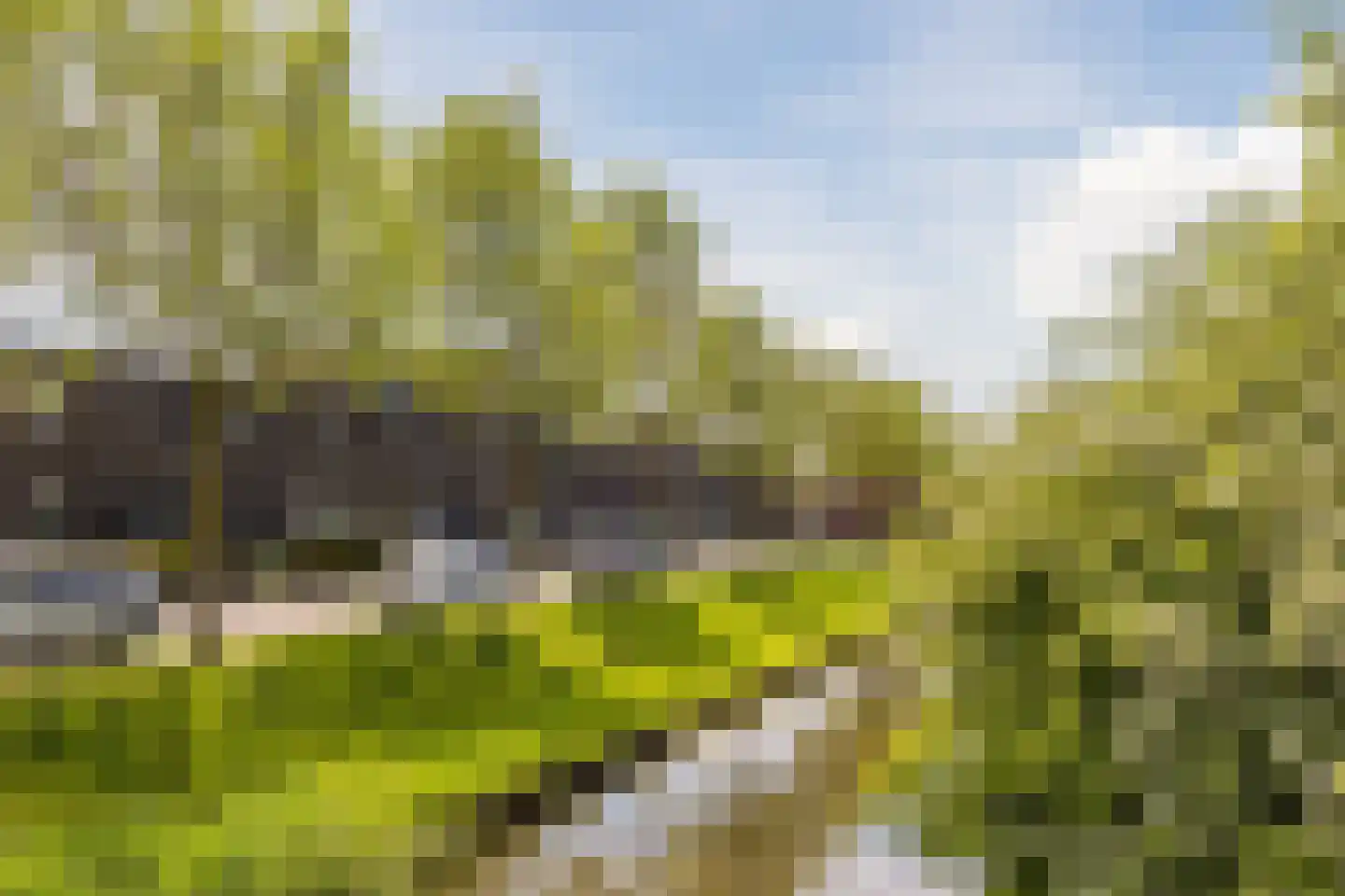 Laagveld 9 Nieuw-Vennep thumbnail 45