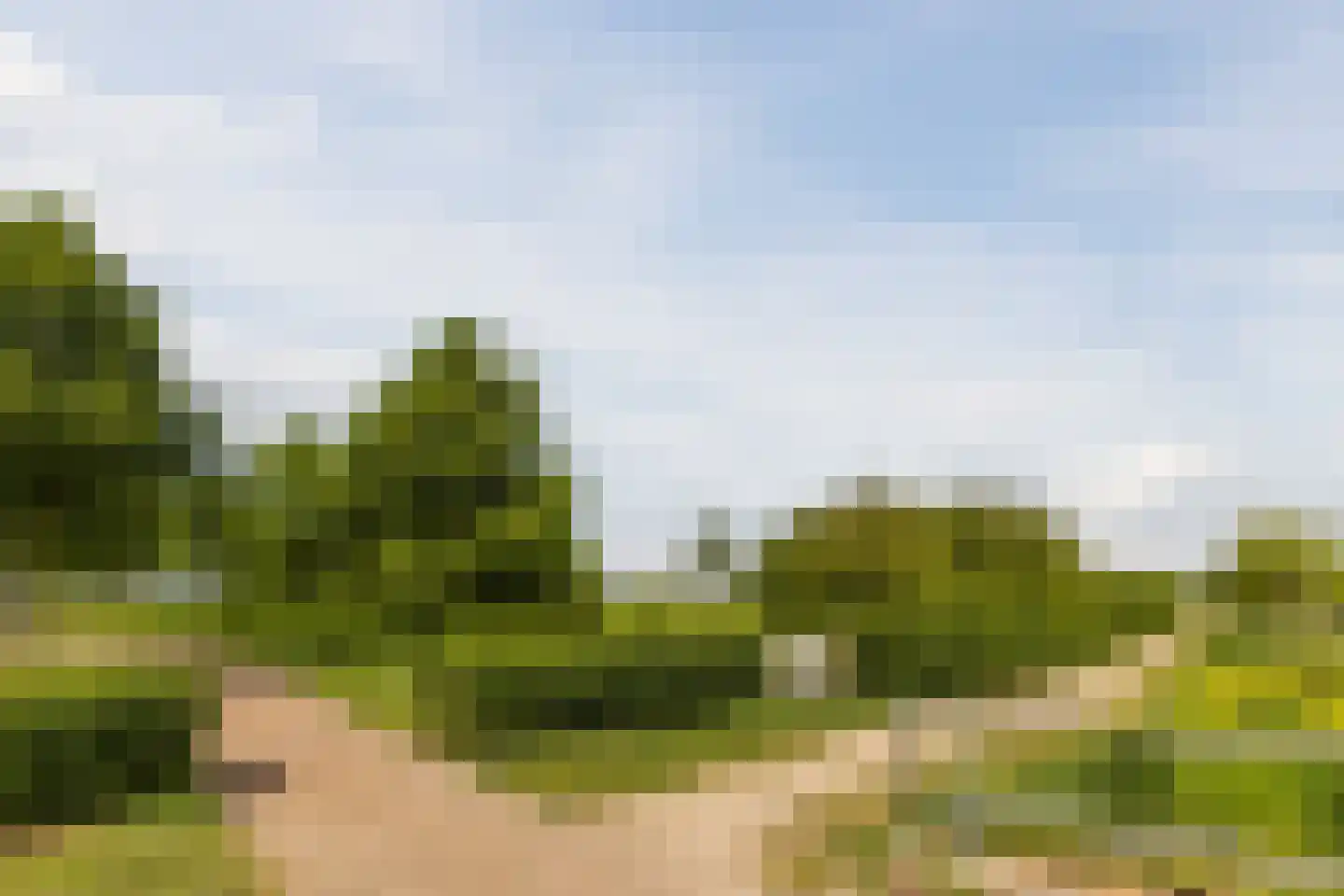 Laagveld 9 Nieuw-Vennep thumbnail 46