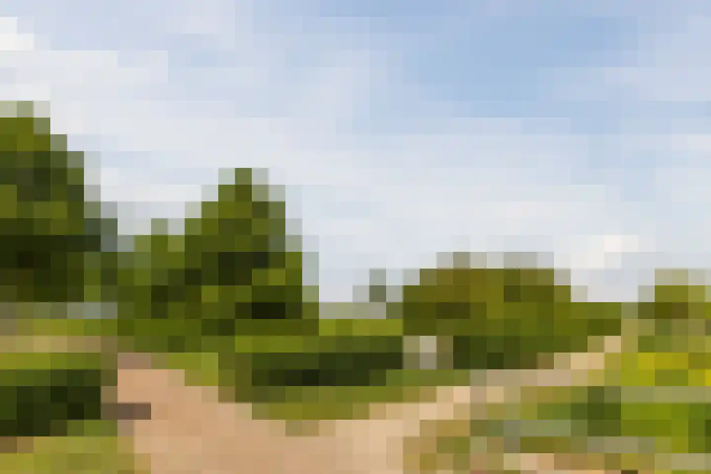 Laagveld 9 Nieuw-Vennep thumbnail 47