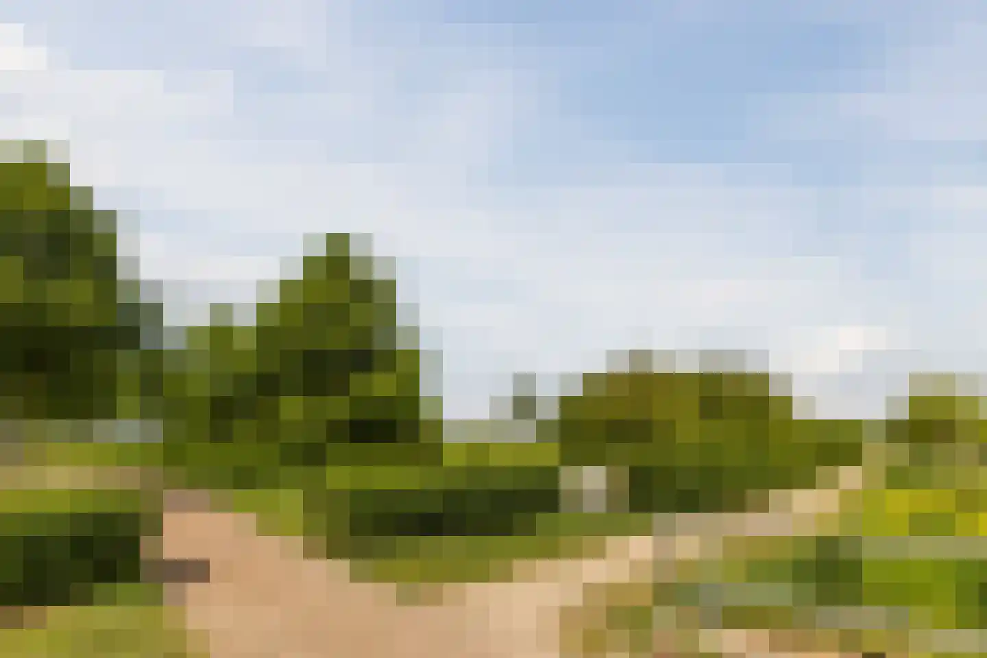 Laagveld 9 Nieuw-Vennep thumbnail 47