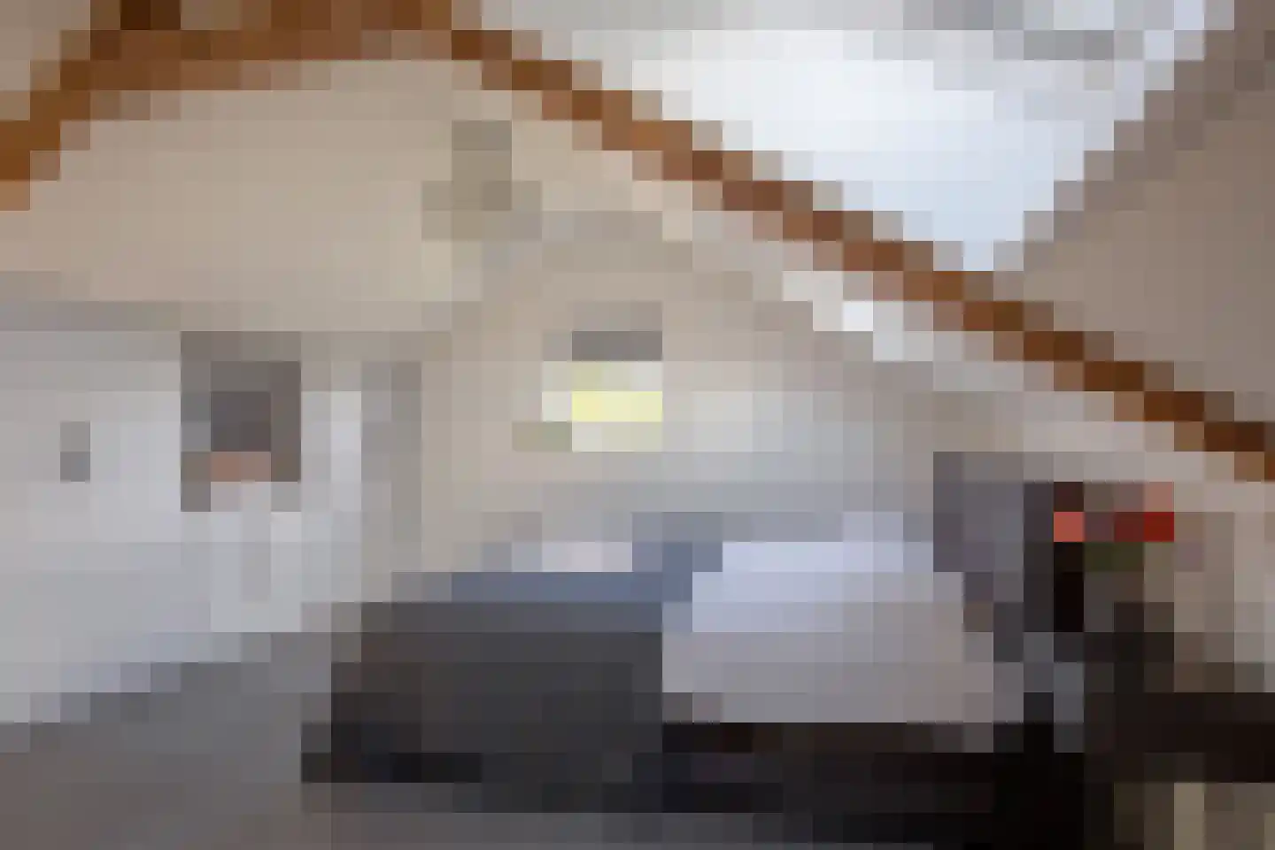 Laagwaalderweg 10 Oudeschild thumbnail 31