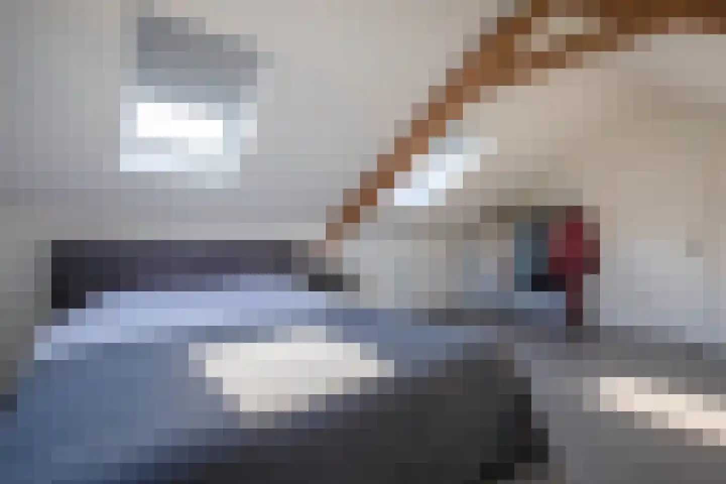 Laagwaalderweg 10 Oudeschild thumbnail 32