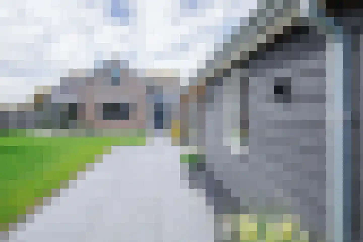 Laagwaalderweg 10 Oudeschild thumbnail 50