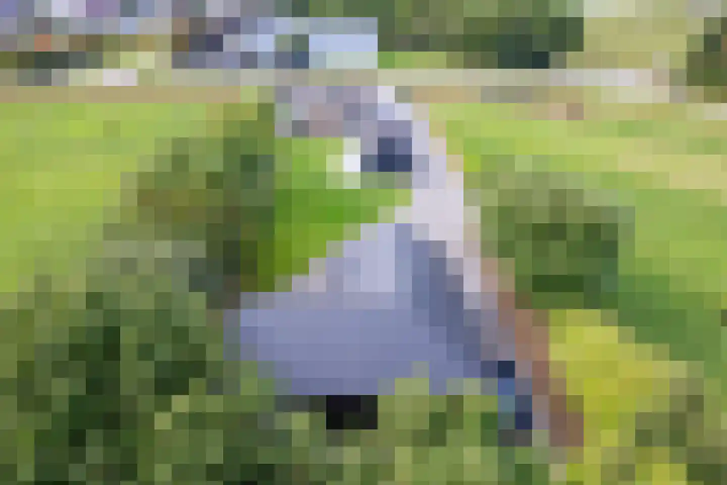 Laagwaalderweg 10 Oudeschild thumbnail 53