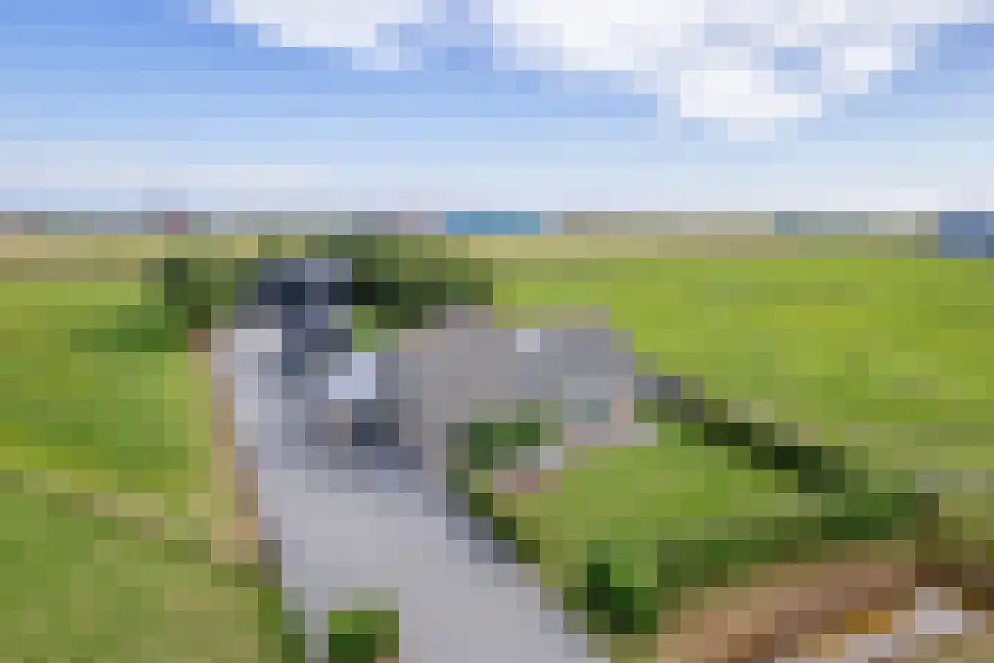 Laagwaalderweg 10 Oudeschild thumbnail 56