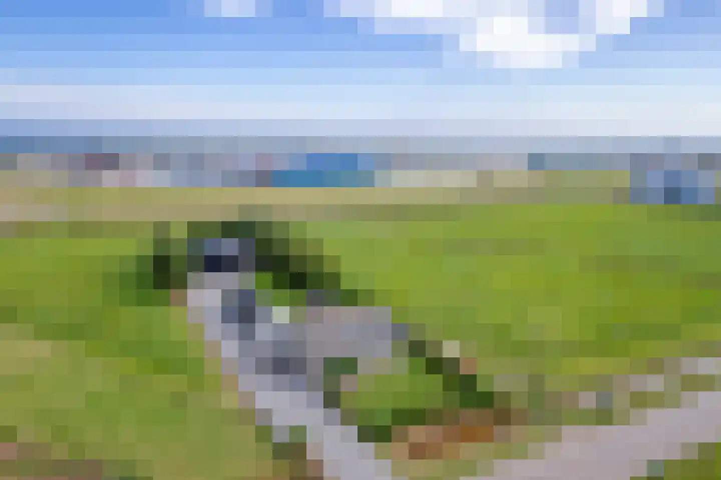 Laagwaalderweg 10 Oudeschild thumbnail 57
