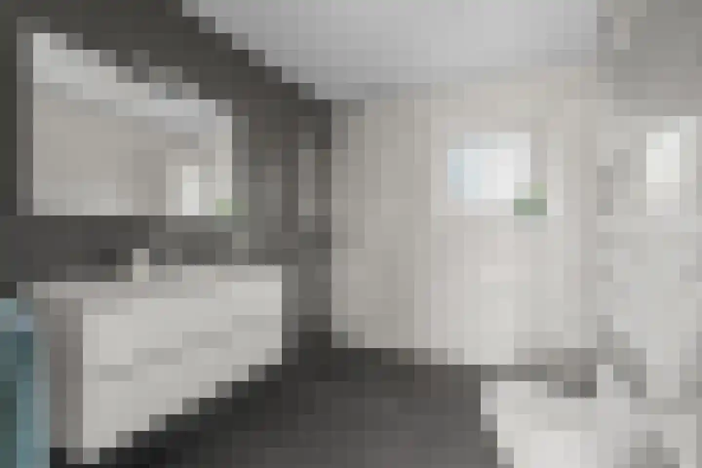 Laagwater 5 Houten thumbnail 10