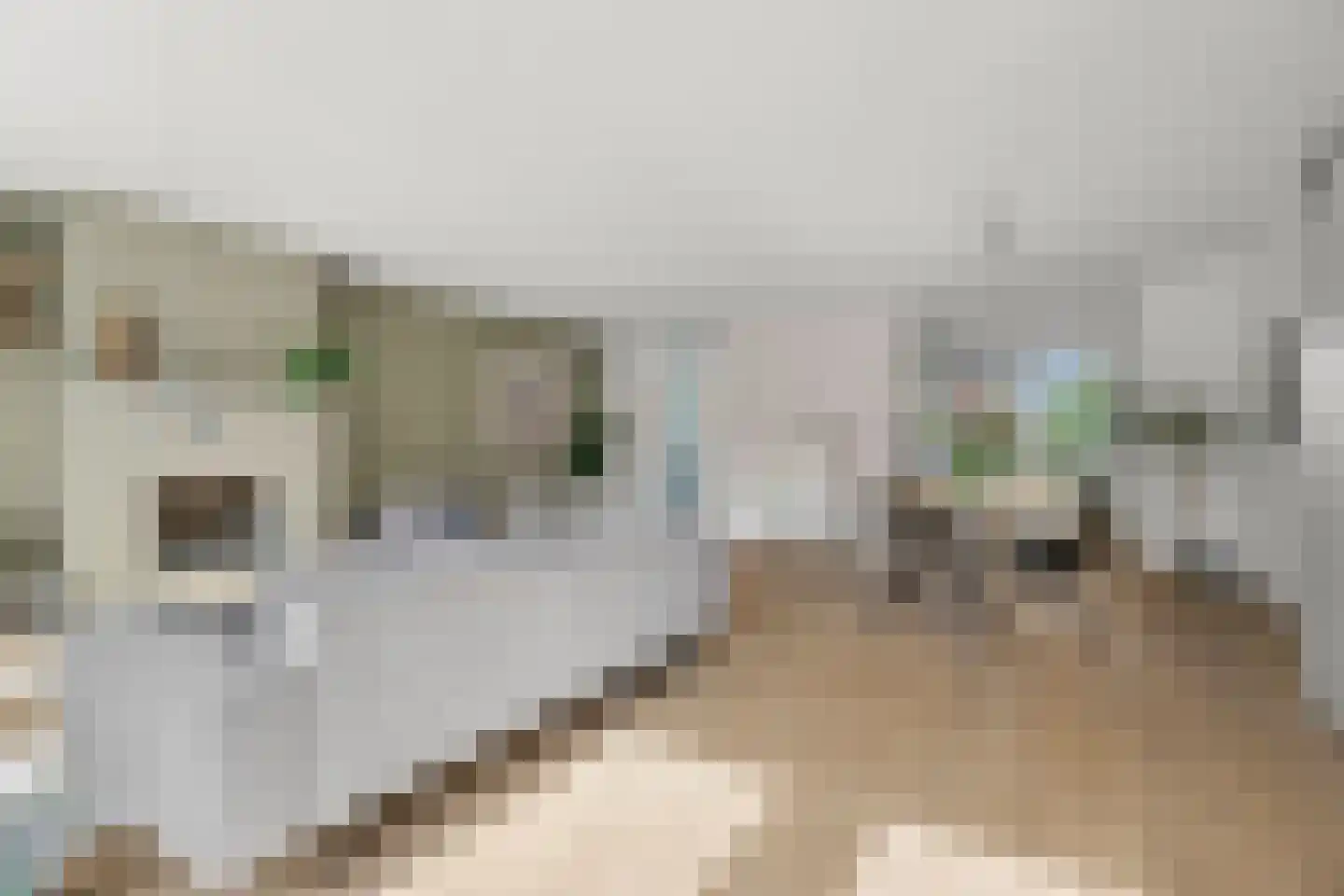 Laagwater 5 Houten thumbnail 20