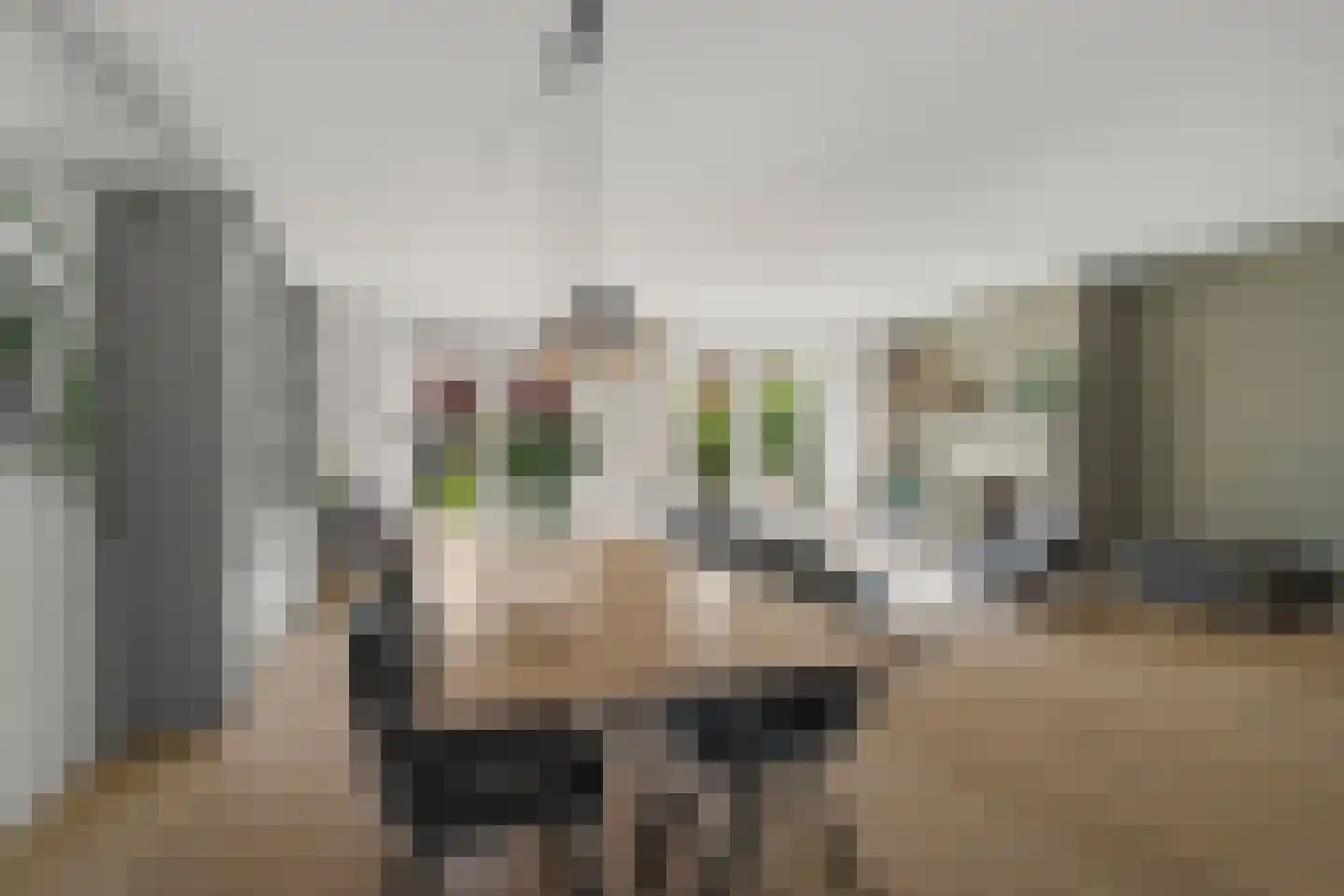 Laagwater 5 Houten thumbnail 22