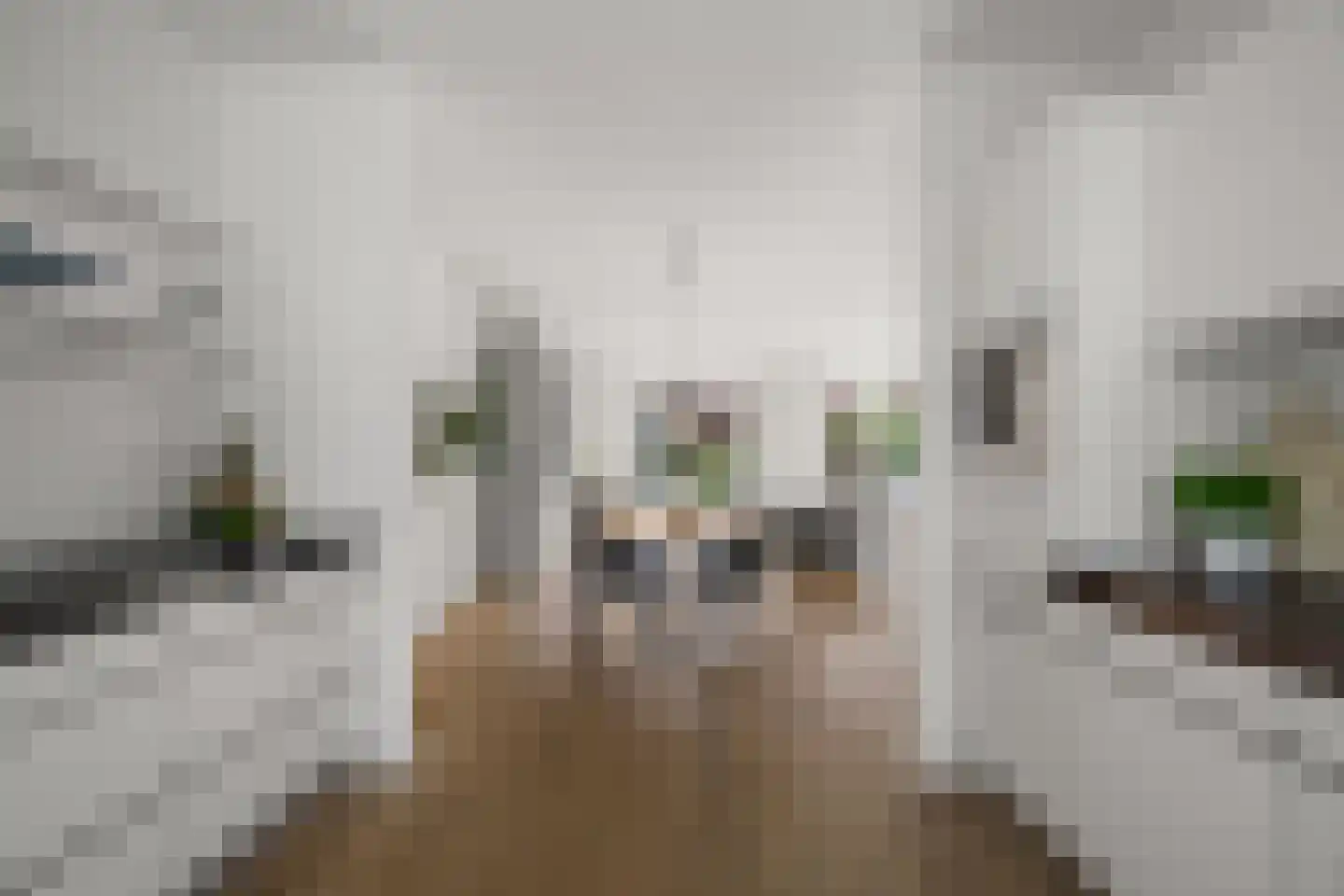 Laagwater 5 Houten thumbnail 27