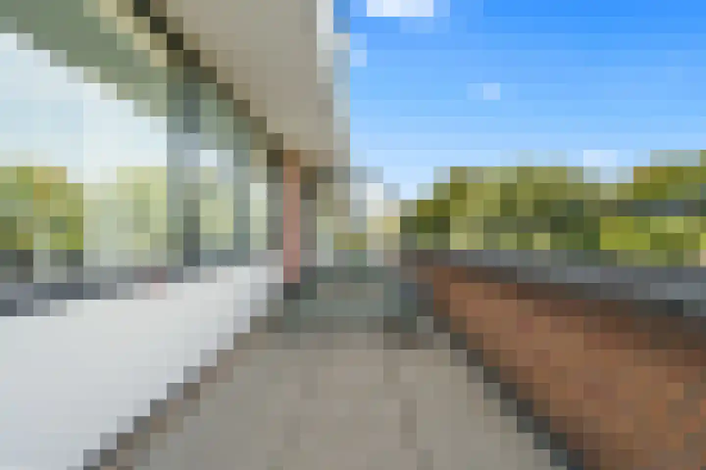 Laagwater 5 Houten thumbnail 48