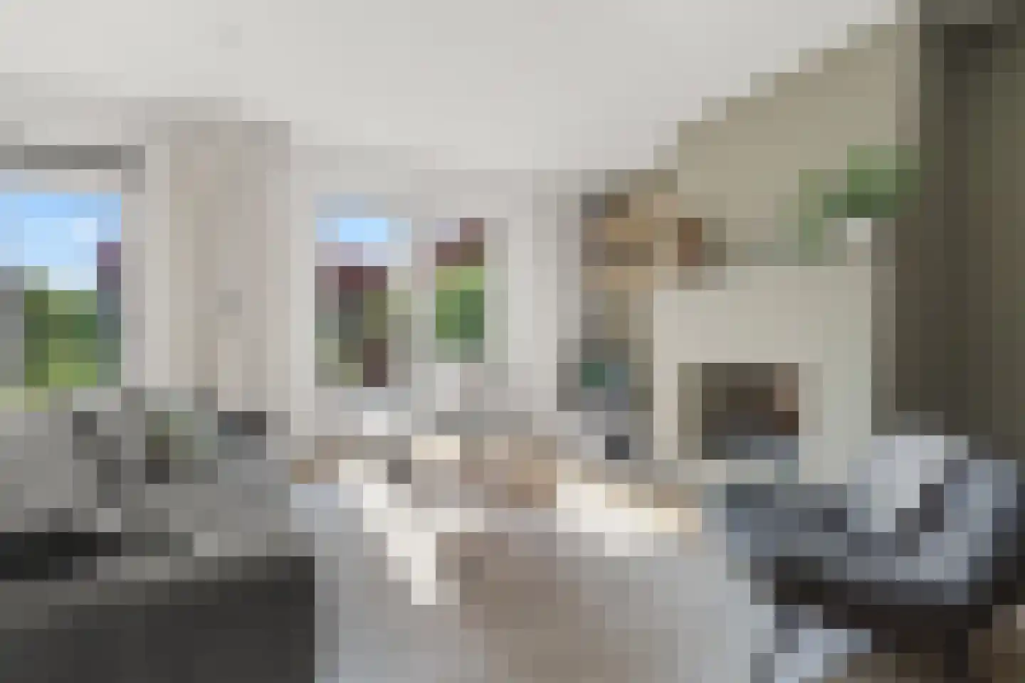 Laagwater 5 Houten thumbnail 5