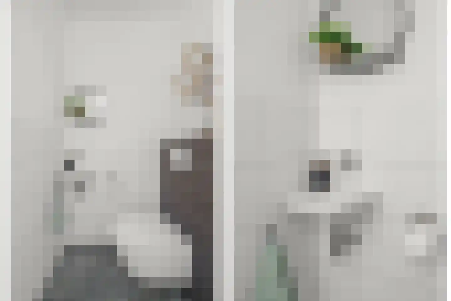 Laagwater 5 Houten thumbnail 50