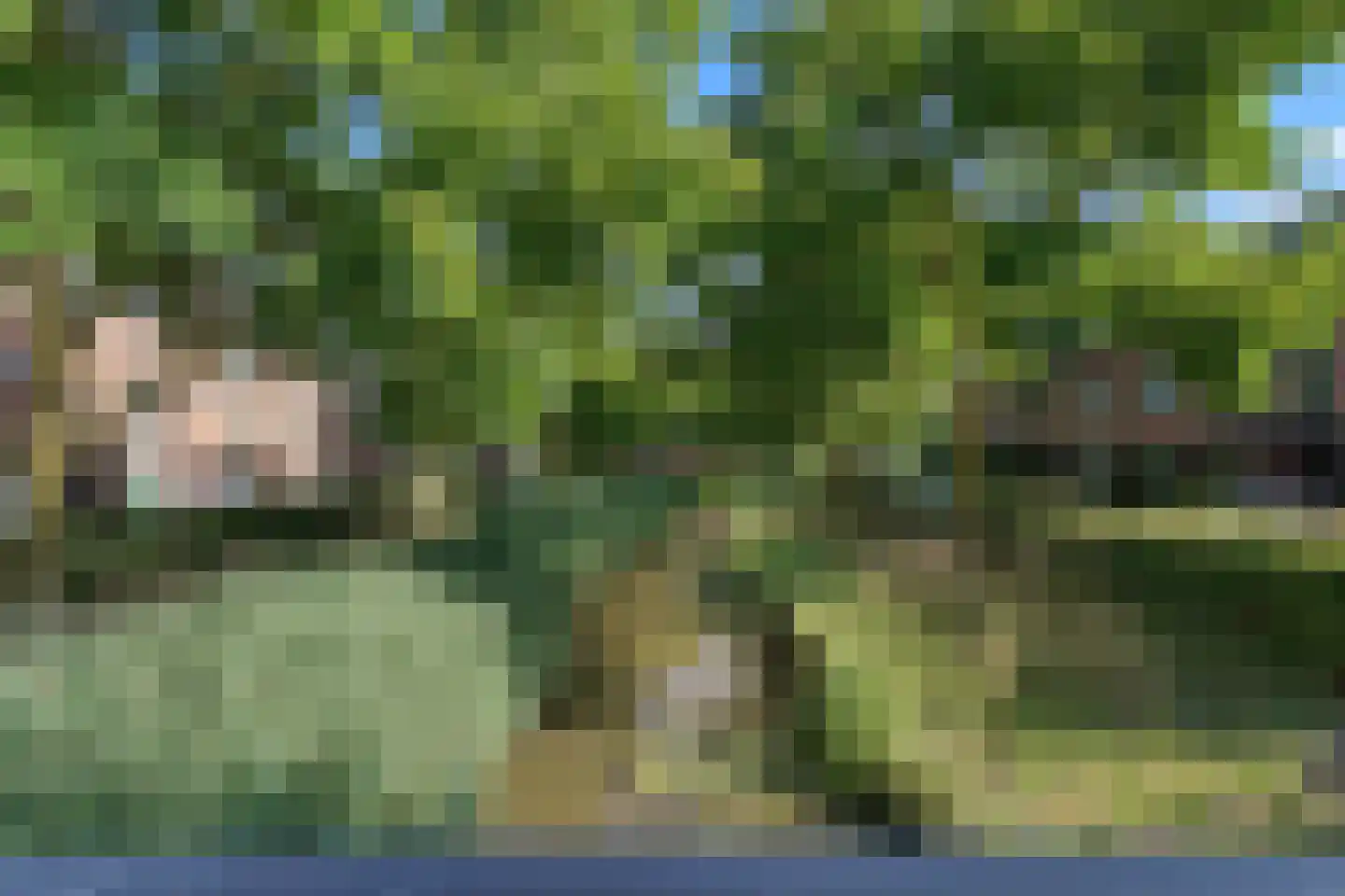 Laagwater 5 Houten thumbnail 56