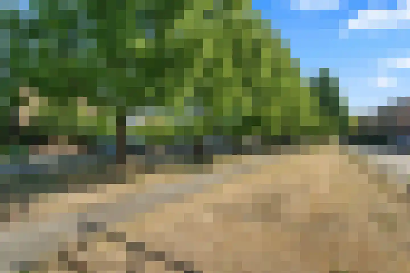 Laagwater 5 Houten thumbnail 57