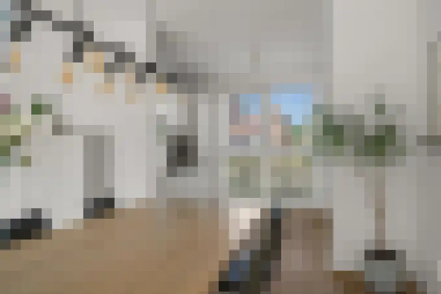 Laagwater 5 Houten thumbnail 6
