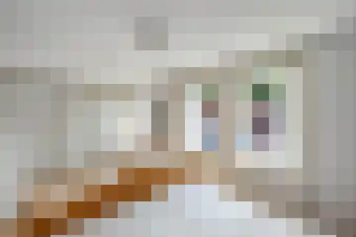 Laagzijde 30 Marknesse thumbnail 20