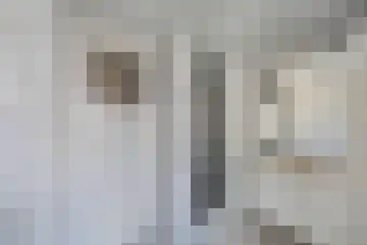 Laagzijde 30 Marknesse thumbnail 21