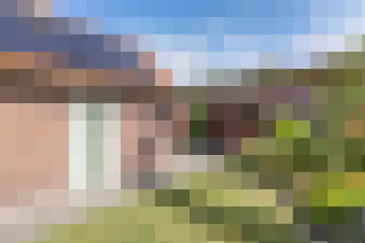 Laagzijde 30 Marknesse thumbnail 29