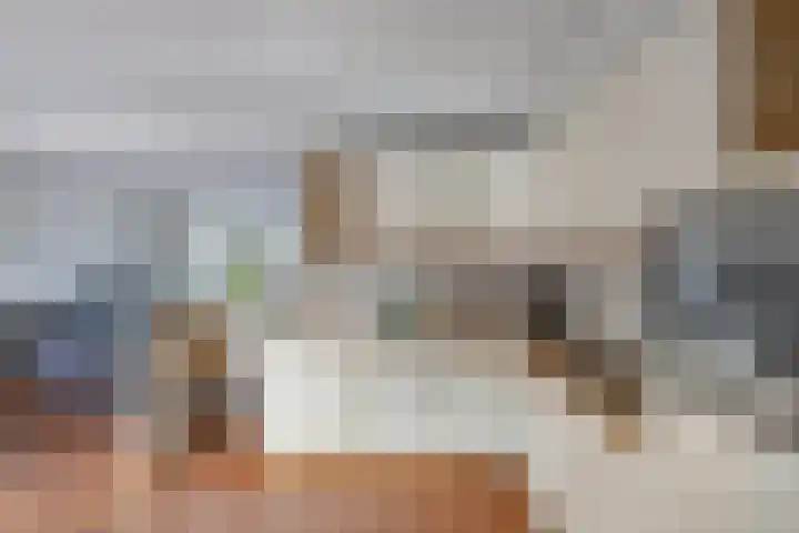 Laagzijde 30 Marknesse foto 3