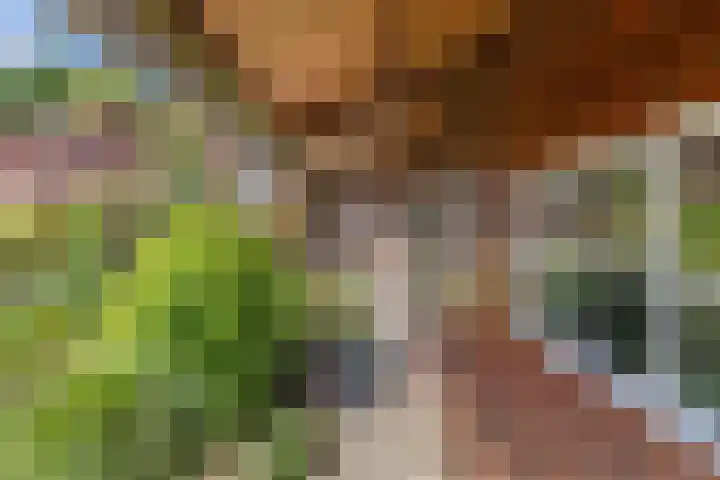Laagzijde 30 Marknesse thumbnail 31