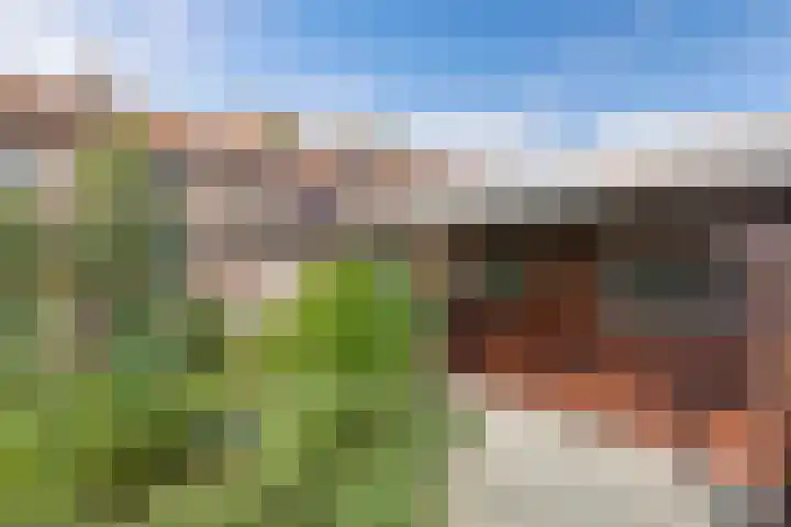 Laagzijde 30 Marknesse thumbnail 32