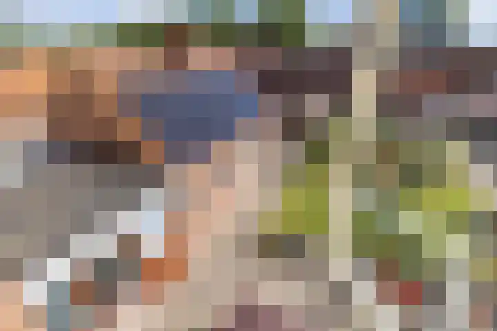 Laagzijde 30 Marknesse thumbnail 35